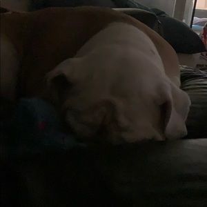 Meet your Posher, Joseph